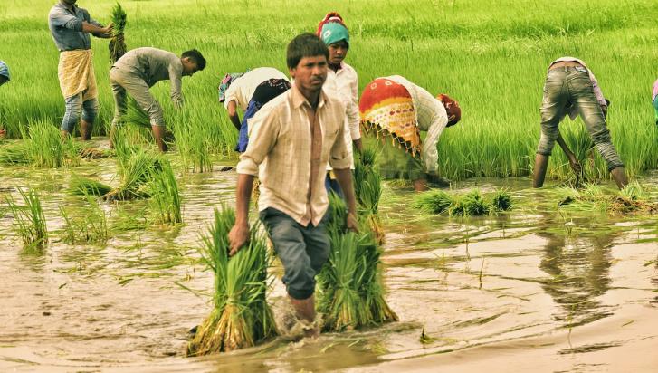 Manipur Violence Impacts Agriculture, Rail Project