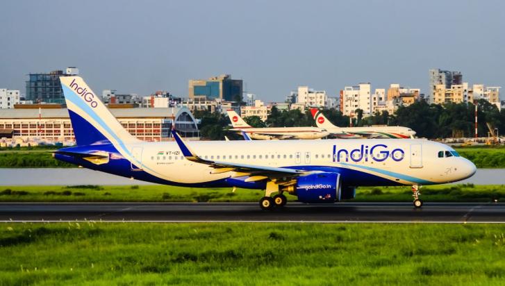 indigo