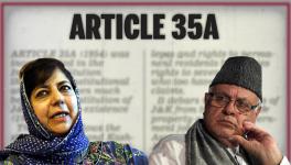 Article 35 A