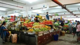 Sikkim's Vegetable