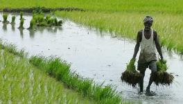 Kerala Floods