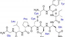 Oxytocin misuse