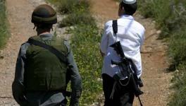 Palestine_Witnesses_Violence_Illegal_Israeli