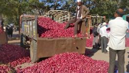 farmers suicides