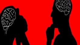 Brain Functioning