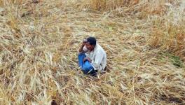 PM’s Insurance Scheme For Farmers