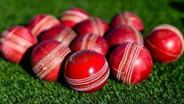 cricket balls