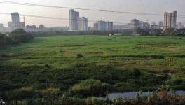 land grab mumbai by big corporate