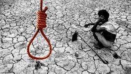 Over 800 Farmers Committed Suicide in Maharashtra This Year, Says Report