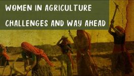 Women in Agriculture 