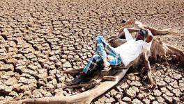 Farmers in Bihar Fear Another Drought