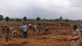 Tussle Between Farmers and Forest