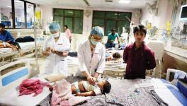 UP: Despite Vaccination Children Lost to Encephalitis, Say Parents