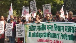 Thousands of Farmers Protest Against Bolsonaro