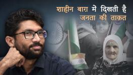 Jignesh Mewani