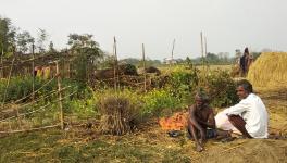 Bihar’s Tribals Face Disenfranchisement