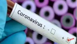 COVID-19: MP Faces Crisis After 11 Top Health Officials Test Positive, 30 IAS in Quarantine