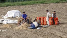  Farmers in Theri Village