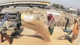 No Use of Wheat Procurement