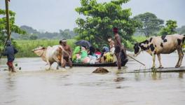 Bihar Floods: Farmers’ Hope for Bumper Kharif Crops