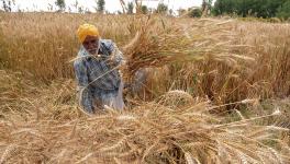 Will Decriminalisation of Section 56(1) of NABARD Act help business grow or create hurdles?