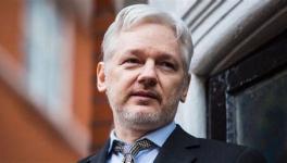 Julian Assange