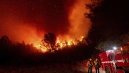 10 Dead as California Wildfire Becomes Deadliest of Year