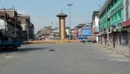 Hurriyat Shutdown Against New Land Laws Hits Normal Life in Kashmir