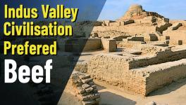 Indus Valley Beef