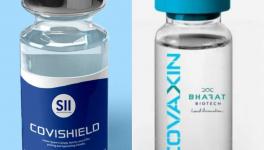 COVID-19: AIPSN ‘Shocked’ by Centre Rolling out Covaxin with Covishield, Urges Protocols for Former’s Use