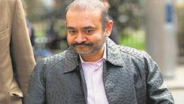 Nirav Modi