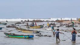 Fisherfolk