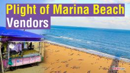 Plight of Marina Beach Vendors