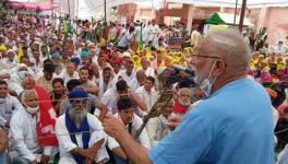 haryana farmers