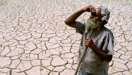 North Maharashtra Awaits Rain, Farmers Worried about Possible Drought