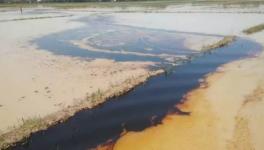 Oil Spill from ONGC Pipeline in Assam Damages Farmland, Locals Fear Worse