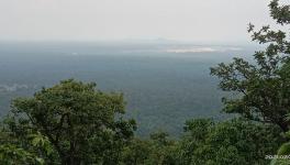 Forests of northern Chhattisgarh have been home to elephants for ages. However, increasing mining activities and other developmental projects have forced them to enter the human habitat. 