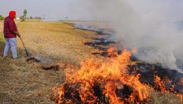 Why the Stubble Burning Problem Refuses to Go Away