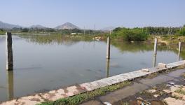 Waterlogged agricultural land / Chikkaballapur