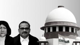 Is disclosure of identity of victim under POCSO Act a cognizable offence? A three-judge SC bench may decide