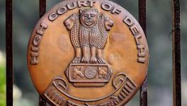 Make disclosure of food articles being veg or non-veg mandatory, rules Delhi HC