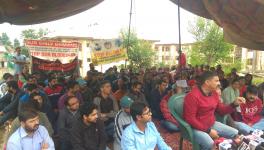 Kashmiri Pandit Employees Protest to Reiterate Demand for Relocation