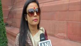 BJP Not Custodian of Hindu Deities, Shouldn't Teach Bengalis How to Worship Maa Kali: Mahua Moitra