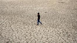 Bihar: 7,841 Villages Declared Drought-hit, Affected Farmers to get Financial Assistance