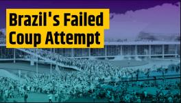 Mapping Faultlines: The Implications of Brazil's Failed Coup Attempt