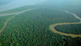 Aerial view of the Amazon Rainforest