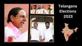 Telangana elections