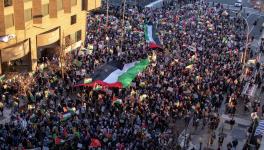 Over 400,000 people marched in Washington DC on January 13, 2024 to demand an immediate ceasefire in Gaza. Photo: Adrian Antonioli