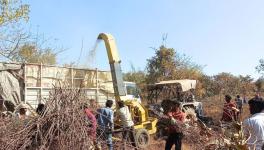 Breaking down lantana with a machine (Photo - Sanavver Shafi, 101Reporters)