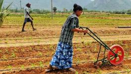 A woman farmer using cycle weeder in her farm in Parvathipuram under Manyam district of Andhra Pradesh (Photo - Abhijit Mohanty, 101Reporters).